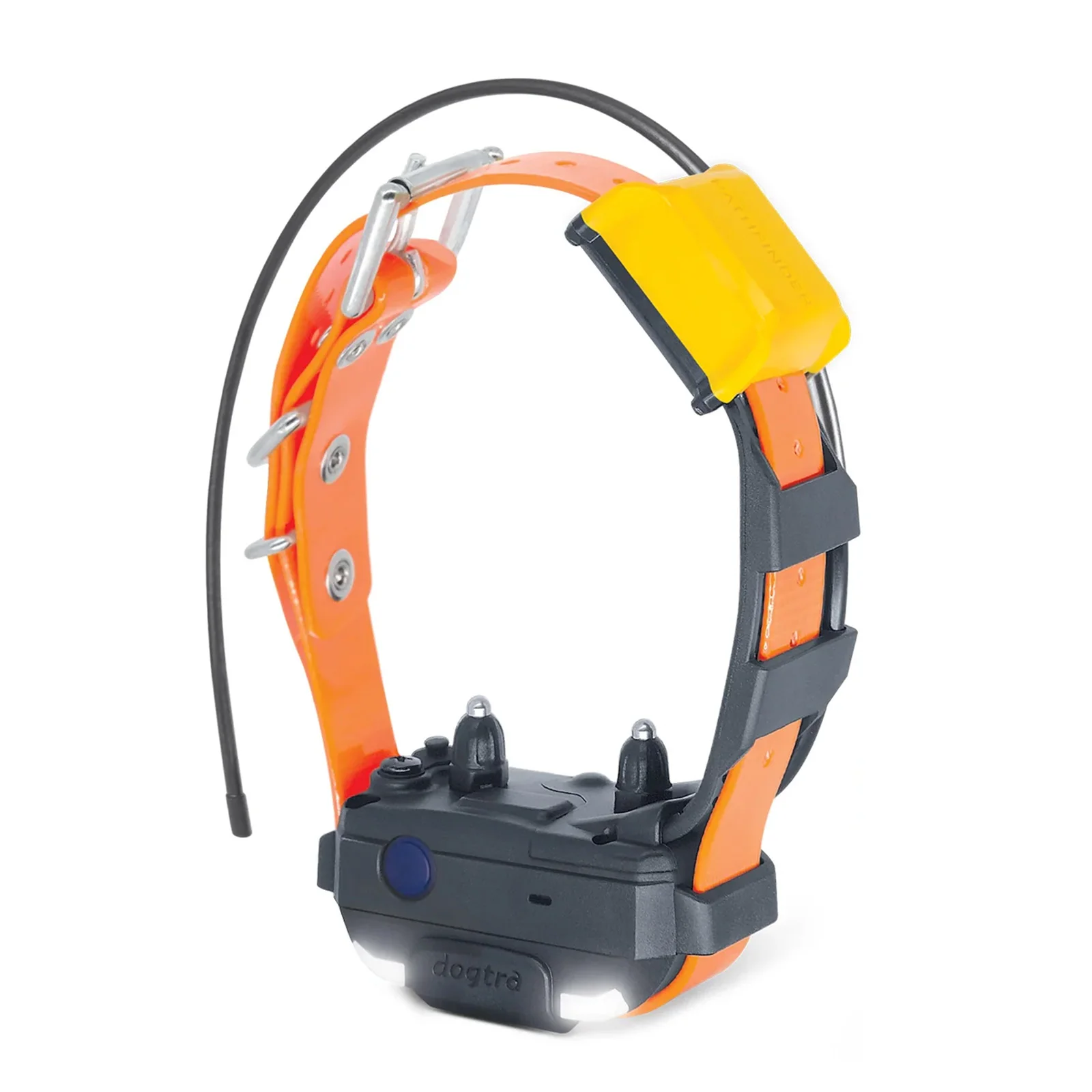 Pathfinder 2 Zusatzhalsband mini