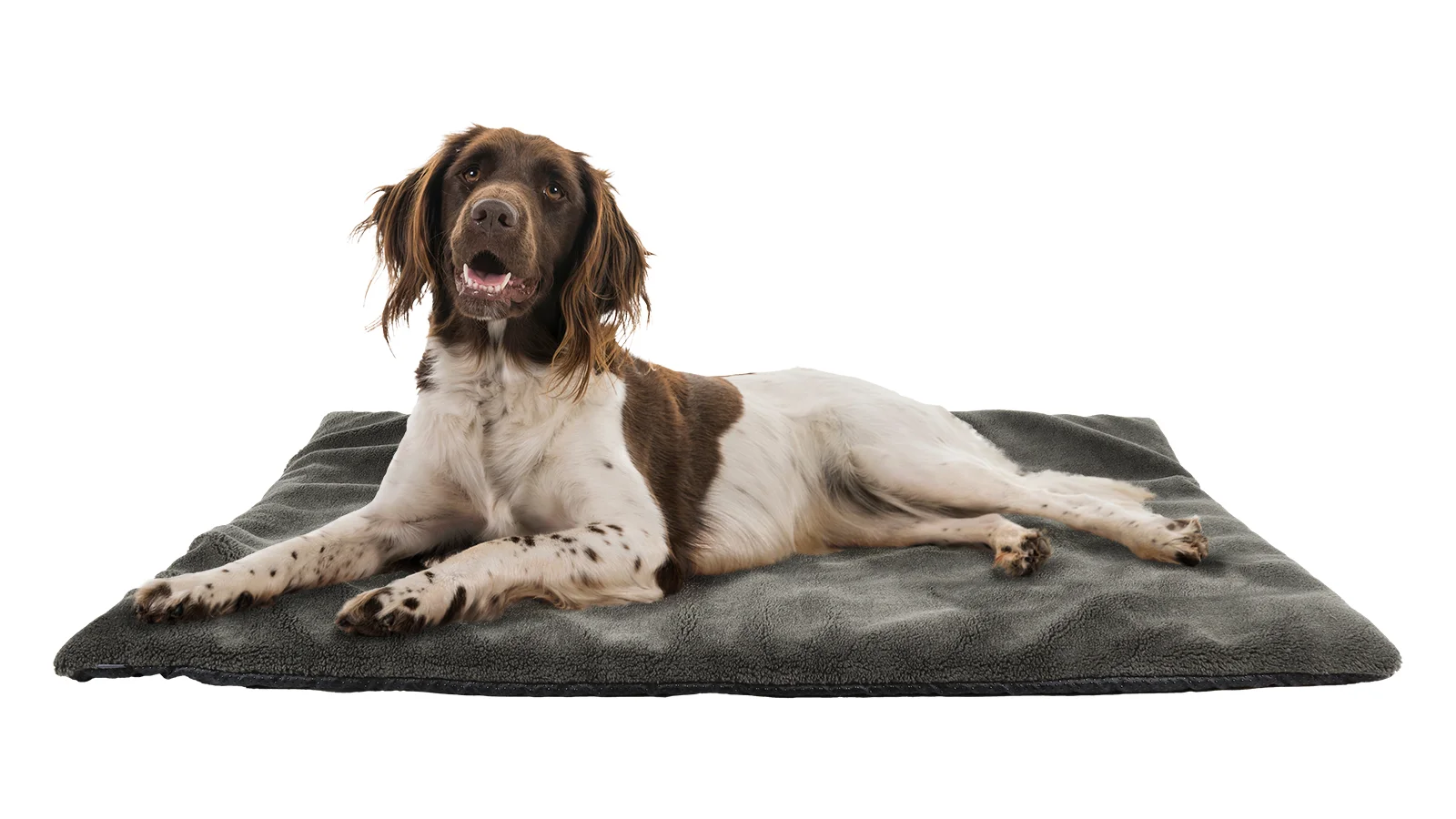 Hunde-Thermobett 70x100